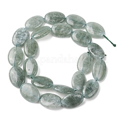 Natürliche Malaysia Jade Perlen Stränge&nbsp;G-K392-C07-13x18mm