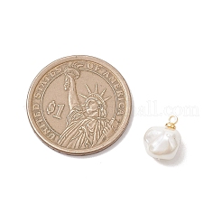 Muschelperlennuggets Charms&nbsp;PALLOY-JF04861