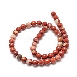 Chapelets de perles en jaspe rouge naturel&nbsp;G-P075-56-6mm
