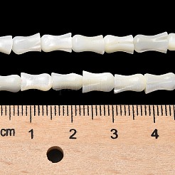 Fili di perle di conchiglia trochid naturale / trochus&nbsp;SHEL-XCP0001-11
