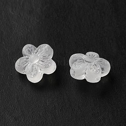 Perles en acrylique transparente&nbsp;LS-OACR-L013-006