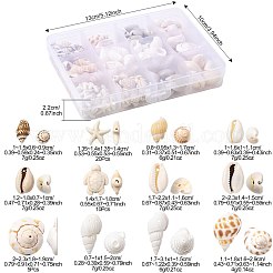 Kit fai da te di perline di conchiglie&nbsp;DIY-FS0010-25