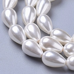 Polierte Muschelperlenstränge&nbsp;X-BSHE-L042-A02