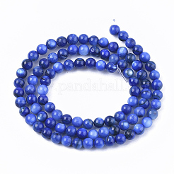 Shell perle d'acqua dolce fili&nbsp;SHEL-S276-32B