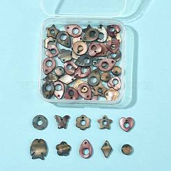 50 Stück natürliche&nbsp;SHEL-FS0001-17
