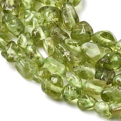 Natürlichen Peridot Perlen Stränge&nbsp;G-H346-A01-01