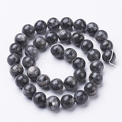 Brins de perles de larvikite naturelles&nbsp;X-GSR10mmC128