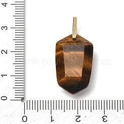 Pendentifs en œil de tigre naturel&nbsp;GG-CBA5FCC-01G-03