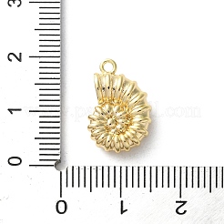 Messing Anhänger & Charms&nbsp;LS-KK-S513-05A-G