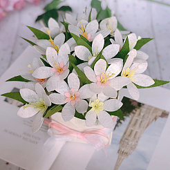1 confezione di materiale in tessuto non tessuto&nbsp;DIY-SC0032-33A