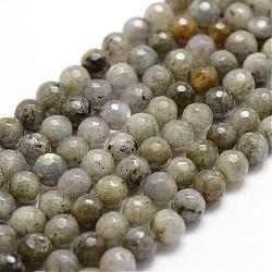 Chapelets de perles en labradorite naturelle , facette, ronde, 6mm, Trou: 1mm, Environ 61 pcs/chapelet, 14.9 pouce ~ 15.1 pouces