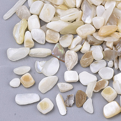 Perles de coquille d'eau douce, perles non percées / sans trou, puce, couleur de coquillage, 1~16x1~5x0.5~5mm