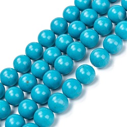 Natural Howlite Beads Strands, Dyed & Heated, Round, 14mm, Hole: 1.4mm, about 29pcs/strand, 15.55 inch(39.5cm)