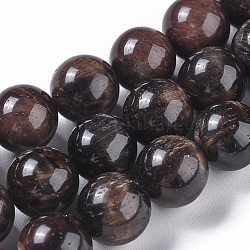Natural Tiger Eye Beads Strands, Dyed & Heated, Round, Coconut Brown, 12mm, Hole: 1mm, about 32pcs/strand, 15.3 inch(39cm)
