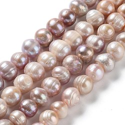 Hebras de perlas de agua dulce cultivadas naturales, patata, grado ab, marrón rosado, 10~11x9~10mm, agujero: 0.6 mm, aproximamente 36 pcs / cadena, 13.74'' (34.9 cm)
