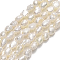 Hebras de perlas de agua dulce cultivadas naturales, dos lados pulidos, lino, 5.5~6x4.5x3mm, agujero: 0.7 mm, aproximamente 56~66 pcs / cadena, 14.37~14.57'' (36.5~37 cm)