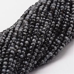 Chapelets de perles de flocon de neige en obsidienne naturelle, ronde, 2mm, Trou: 0.5mm, Environ 190 pcs/chapelet