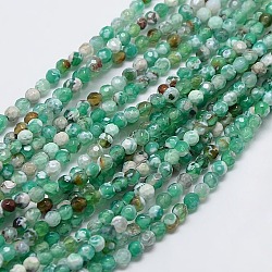 Natural Fire Crackle Agate Beads Strands, Dyed, Faceted, Round, Medium Sea Green, 4mm, Hole: 1mm, about 95pcs/strand, 14.96 inch