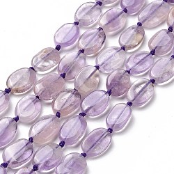 Brins de perles d'améthyste naturelles, ovale, 12~14x8~9x3.5mm, Trou: 1mm, Environ 27 pcs/chapelet, 16.14'' (41 cm)
