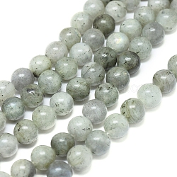 Chapelets de perles en labradorite naturelle , ronde, 10mm, Trou: 1.4mm, Environ 38 pcs/chapelet, 15.75 pouce (40 cm)