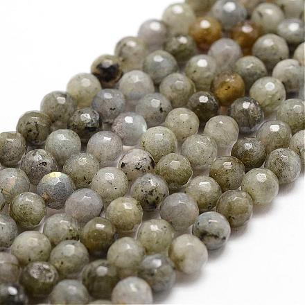 Chapelets de perles en labradorite naturelle  G-D840-10-6mm-1
