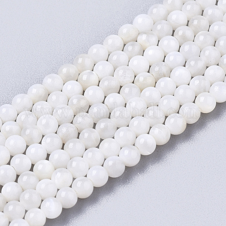 Eau douce naturelle de coquillage perles brins X-BSHE-T009-01F-1
