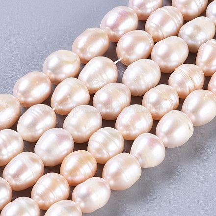 Natural Cultured Freshwater Pearl Beads Strands PEAR-L029-01-1