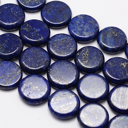 Natural Lapis Lazuli Flat Round Bead Strands G-M264-06-1