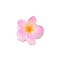 Plastic Claw Hair Clips, Hair Accessories for Women & Girls, Flower, Pearl Pink, 40mm