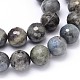 Chapelets de perles rondes en labradorite naturelle G-O094-06-18mm-2