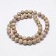 Natural Fossil Coral Beads Strands G-P325-01-8mm-2