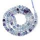 Natural Fluorite Beads Strands G-R460-030-2