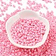 Baking Paint Glass Seed Beads SEED-H002-I-A534-2