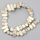 Spray Painted Natural Freshwater Shell Beads Strands SHEL-S276-89A-2