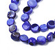 Chapelets de perles de coquille de trochid / trochus coquille SHEL-S258-083-B03-3