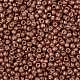 TOHO Round Seed Beads X-SEED-TR08-0564F-2
