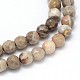 Natural Fossil Coral Round Bead Strands G-O094-08-4mm-2