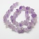 Nuggets Natural Amethyst Beads Strands G-N0128-40-2