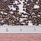 Perline miyuki delica piccole SEED-X0054-DBS0023-4