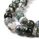 Natural Tree Agate Beads Strands G-K194-8mm-02-6
