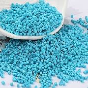 Выпечка краска стеклянные бусины SEED-S042-05B-58