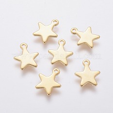 304 Stainless Steel Charms X-STAS-L234-069G