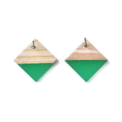 Orecchini a bottone in resina opaca e legno&nbsp;EJEW-N017-005A-B02