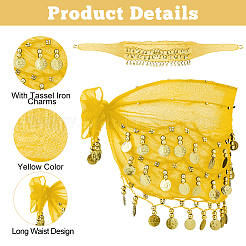Sciarpa di seta per la danza del ventre&nbsp;DIY-WH0816-566G-01