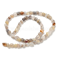 Natur Botswana Achat Bead Stränge&nbsp;G-F465-47A