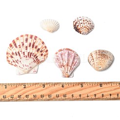 233g 5 Stile natürliche gemischte Muschel Anhänger Sets&nbsp;BSHE-FS0001-11