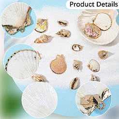 20 pz 10 stili pendenti in conchiglia mista naturale elettroplaccata&nbsp;SHEL-SC0002-08