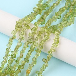 Natürlichen Peridot Perlen Stränge&nbsp;G-G0003-B27
