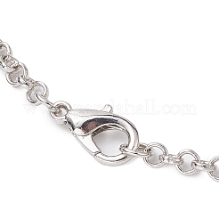 Collane di catene di ferro rolo&nbsp;NJEW-JN04858-02