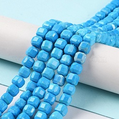 Fili di perline howlite naturale&nbsp;G-G001-A01-01